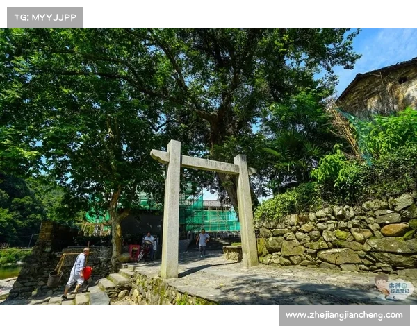 陨铁之秘：唤醒梦幻世界